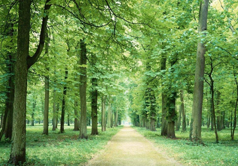 仟億達(dá)碳交易，讓林農(nóng)愛(ài)上植樹(shù)“賣空氣”